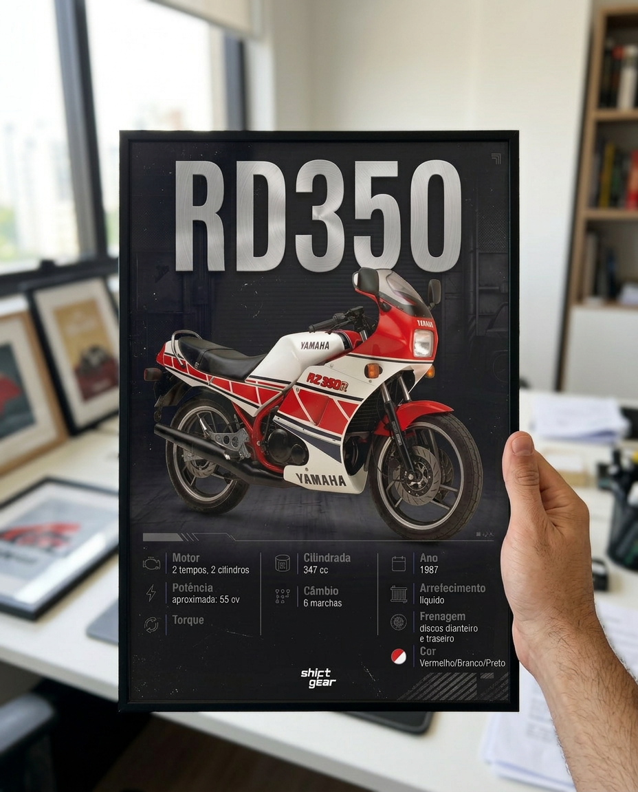 Quadro Blueprint RD350 sendo segurado na mão, referência de tamanho